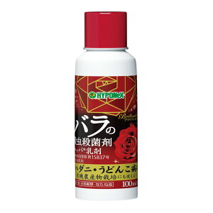 yIʌZ[znC|lbNX uAgK[f o̎E Eۍ nbp 100ml