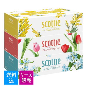 yE܂Ƃߔ 250g×3×18Zbgz{NVA XRbeB t[{bNX 250g×3 {bNXeBbV