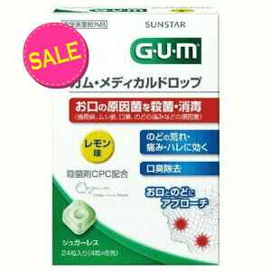 yIʌZ[zTX^[ GUM fBJhbv  24