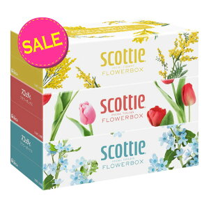 yIʌZ[z{NVA XRbeB t[{bNX 250gi 500 j× 3 {bNXeBbV