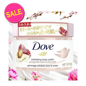 yʌ聟zj[o _ N[~[XNu UN&VAo^[ 298gyMY-s01z