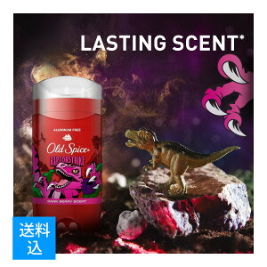 �y�z�����܂����������zP&G �I�[���h�X�p�C�X �t���O�����X�o�[ ���C���h�R���N�V���� ���v�^�[�X�g���C�N 85g