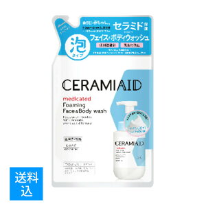 yzR[Z[RX|[g Z~GCh p tFCX{fBEHbV ߂p 380ML A^Cv 4971710541731