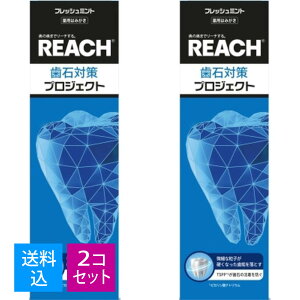【×2個 送料込】銀座ステファニー リーチ 歯石対策 プロジェクト 歯みがき 120g 4560279569678