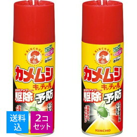 【送料込・まとめ買い×2個セット】大日本除虫菊 金鳥 カメムシ キンチョール H 300ml