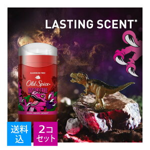 �y×2�@�z�����܂����������zP&G �I�[���h�X�p�C�X �t���O�����X�o�[ ���C���h�R���N�V���� ���v�^�[�X�g���C�N 85g
