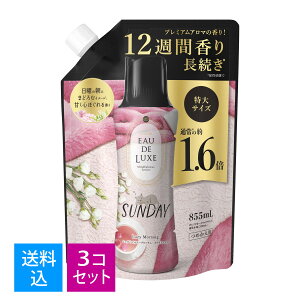 【送料込・まとめ買い×3個セット】P&G レノア オードリュクス マインドフルネスシリーズ アロマジュエル サンデー つめかえ用 特大サイズ 855mL