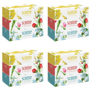 yE܂Ƃߔ 250g×3×4Zbgz{NVA XRbeB t[{bNX 250g×3 {bNXeBbV