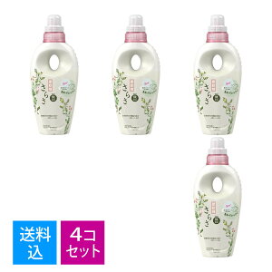 yE܂Ƃߔ×4ZbgzP&G 炳 _ { 530mL@4987176184597