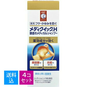 y×4 Zbgz򕔊Oi fBNCbNH ӂE݂h ̊P fBJVv[ 200ml