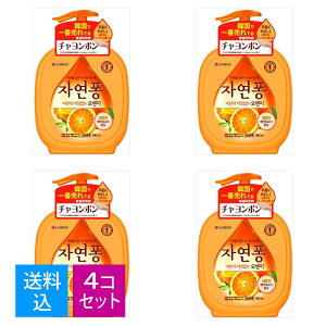 yE܂Ƃߔ×4ZbgzgC^[Wp `| Hp IW̍ { 490ML