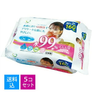 【送料込・まとめ買い80枚×2袋入×5個セット】ふんわり手口ふき 80枚入り 2袋入 ノンアルコールウエットティシュー