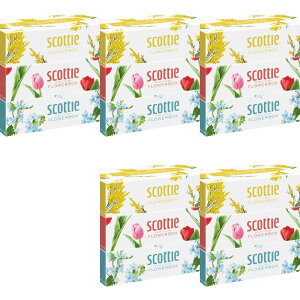 yE܂Ƃߔ 250g×3×5Zbgz{NVA XRbeB t[{bNX 250g×3 {bNXeBbV