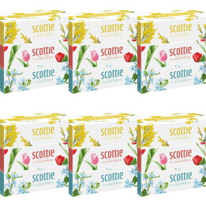 yE܂Ƃߔ 250g×3×6Zbgz{NVA XRbeB t[{bNX 250g×3 {bNXeBbV