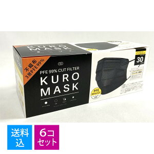 yE܂Ƃߔ30×6Zbgzxm sDz@}XN@30@PFE 99% Jbg tB^[ KURO MASK lpTCYiĝĕsDz}XNji4944109314483j