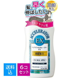 yE܂Ƃߔ×6ZbgzTf wAANZ[^[ EX t[Abv̍ 150ml@𑁂̂΂@̐i wAANZ[^[p[Abv 498704612034
