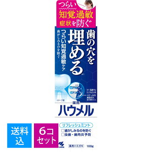 y×6@zѐ nE tbV~g 100g pn~KL 4987072060674