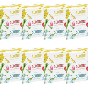 yE܂Ƃߔ 250g×3×8Zbgz{NVA XRbeB t[{bNX 250g×3 {bNXeBbV