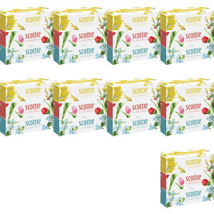 yE܂Ƃߔ 250g×3×9Zbgz{NVA XRbeB t[{bNX 250g×3 {bNXeBbV