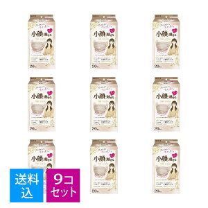 【送料込・まとめ買い×9個セット】白元アース ビースタイル プリーツタイプ ふつうサイズ ミルクティーベージュ 20枚入 不織布フィルター