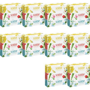 yE܂Ƃߔ 250g×3×10Zbgz{NVA XRbeB t[{bNX 250g×3 {bNXeBbV