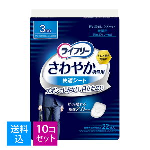 yE܂Ƃߔ22×10Zbgzj`[ Ct[ ₩ jp KV[g 3cc 22@4903111549245