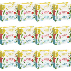 yE܂Ƃߔ 250g×3×12Zbgz{NVA XRbeB t[{bNX 250g×3 {bNXeBbV