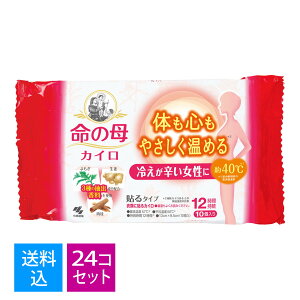 yE܂Ƃߔ10×24Zbgzѐ ̕ JC \ 10