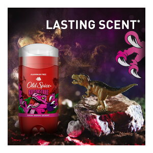 P&G �I�[���h�X�p�C�X �t���O�����X�o�[ ���C���h�R���N�V���� ���v�^�[�X�g���C�N 85g