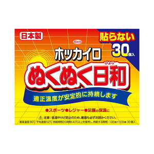 興和 ホッカイロ ぬくぬく日和 貼らないレギュラー 30個 (4987067829309)