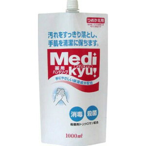 yE܂Ƃߔ×2ZbgzPbgΌ p nh\[v fBLb l֗p 1000ml