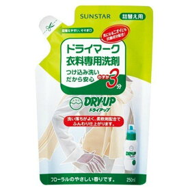 サンスター ドライアップ ドライマーク 衣料専用洗剤 詰替用 250ml
