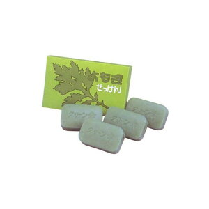 yIʌZ[ẑ (e:98G×4)