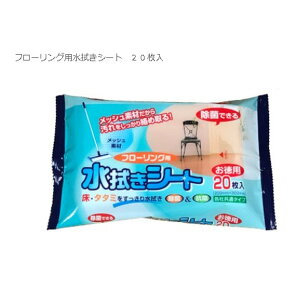 yIʌZ[zy[p[ebN t[Op @V[g 20 p eЋʃ^Cv E^^~萅@ ہER 200mm×300mm ( 4580131000361 )pbP[W