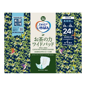 J~ GA΂ ̗ Chpbh jp 24 ԗp