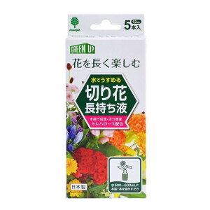 yIʌZ[zIze ł߂ ؂ t 5{