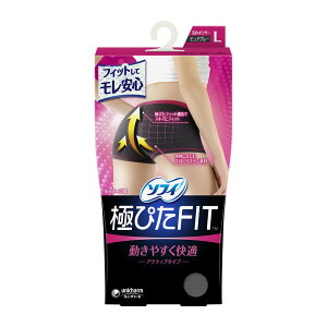 \tB ɂ҂FIT ANeBu^Cv sAO[ LTCY