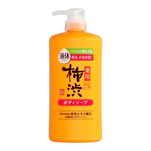F lG܁X p `a t̃^Cv {fB\[v { tbVVgX̍ 600ml
