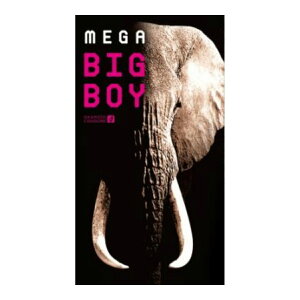 yz IJg KrbO{[C 12 Rh[ED 傫߃TCY 1