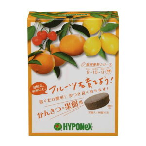 yz nC|lbNX ܔ엿V[Y 񂫂Eʎp 30 1