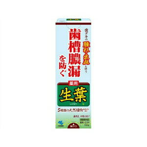 【送料込】 小林製薬 薬用ハミガキ 生葉 100g 1個 【歯槽膿漏予防】 1個