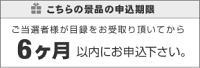 景品東京ディズニーリゾート2DAYパスポートぺアチケット、ディズニーランド、景品、二次会景品、目録、ディズニーチケット、新年会