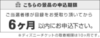 東京ディズニーリゾート1DAYパスポートぺアチケット景品、二次会景品、二次会景品、セット、ビンゴ、目録、ゴルフコンペ、忘年会、新年会