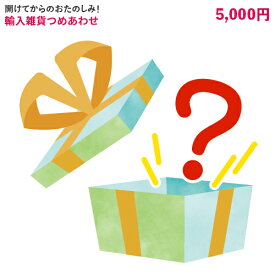 はてなボックス5000円分 景品 歓迎会 ビンゴ大会 景品 詰め合わせ 雑貨 輸入 おたのしみ箱 イベント 賞品 セット