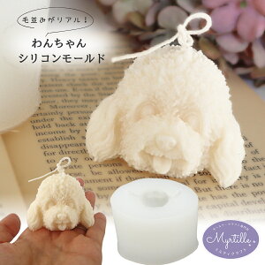 y݌ɌSALE980~500~zVR[h  gCv[h  A}Xg[ ΍p A}Lh [h ptBbNX \CbNX G|LV W [h ^