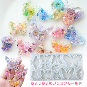 VR[h  W VR [h ANZT[ p[c `[ L[z_[ nhCh Ntgp ^g