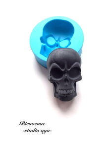 VR[h hN KCRc A}Xg[ ΍p A}Lh G|LV W [h ^ Sy