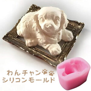 VR[h  q  A}Xg[ ΍p A}Lh [h ptBbNX \CbNX G|LV W [h ^