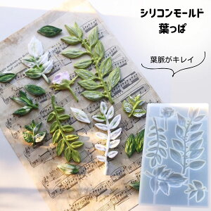 VR[h t  A}Xg[ A}Lh  W^ G|LV ΍p nhCh Ntgp ^g