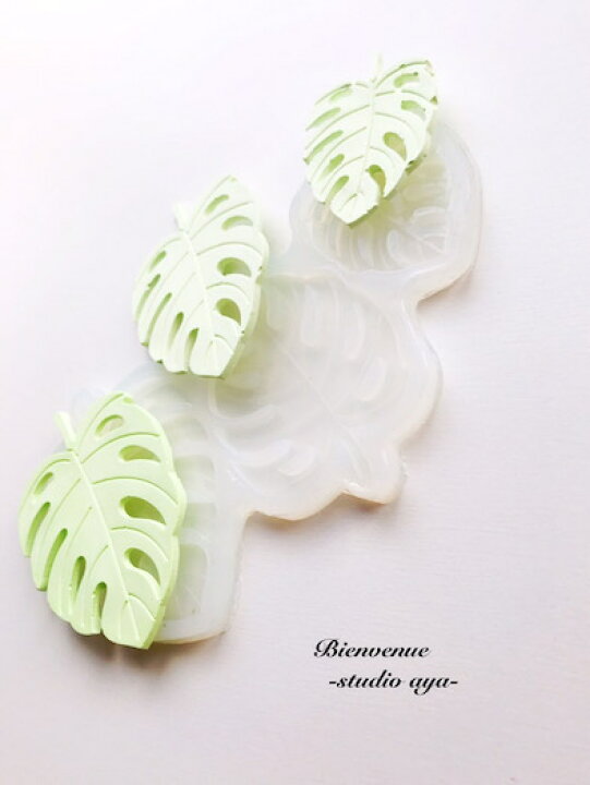 アロマストーン 引き続い BIGモンステラ&ハワイアンセット 